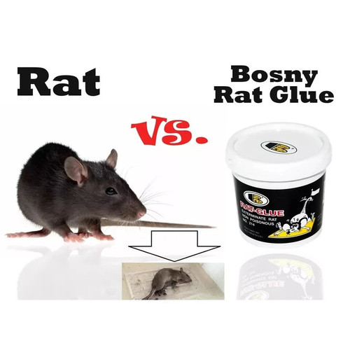 RAT GLUE TRAP MOUSE MICE RODENT PEST INSECT STICKY ODOURLESS - NON TOXIC - Picture 5 of 5