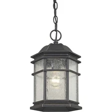 Dolan Designs 9232-68 Barlow 1 Light 8 inch Winchester Outdoor Hanging Lantern