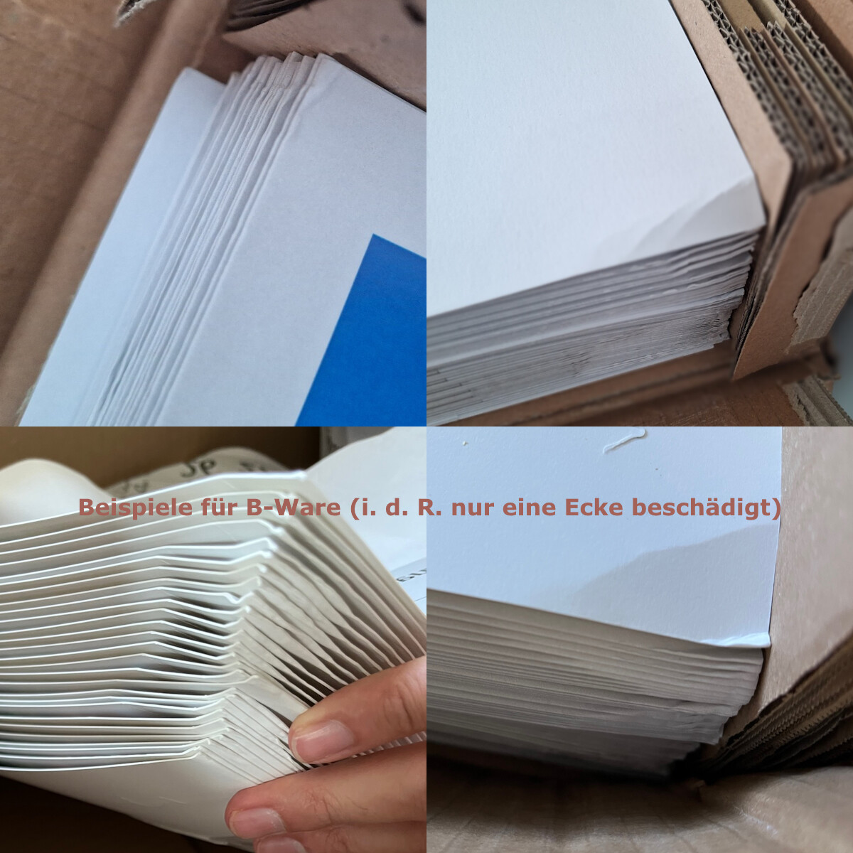 Bild 8 von 10