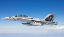 Boeing EA-18G Growler VAQ-209 Star Warriors 2019 Navy Mahogany Model Scale 1/48