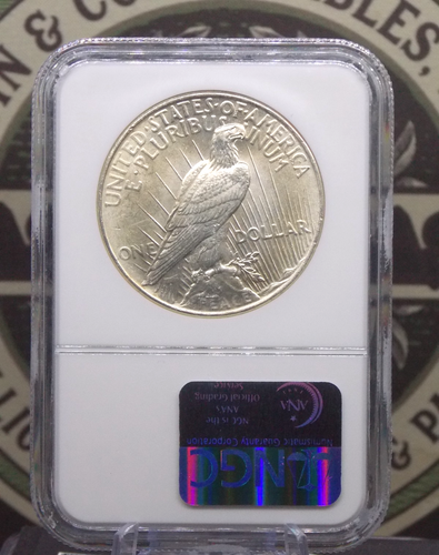 1924 "P" Peace SILVER Dollar $1 NGC MS63 #017 BU Unc Uncirculated ECC&C, Inc. - Picture 4 of 5
