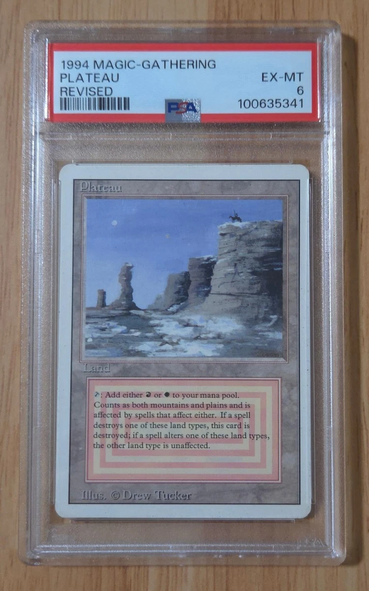 Land Magic: The Gathering Professional Sports Authenticator (PSA