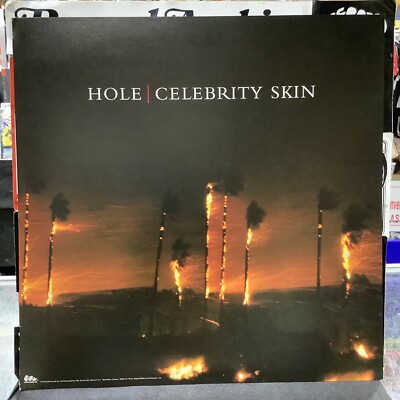 HOLE Celebrity Skin POSTER 12x12 LP CD Courtney Love Store Promo