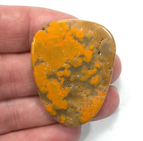 DVH Bumble Bee Jasper Calcite Cabochon 2 Sided 49x37x6 (4078) - Picture 2 of 4