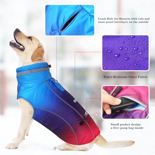 Dog Coats, Waterproof Dog Jacket with Pocket, Medium Gradient Blue