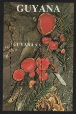 Fungi Mushrooms  Sarcoscypha coccinea  MS Guyana 1989 MNH MI#Block 37 Sc#2011