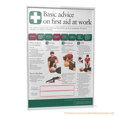 THE PRINT NINJA Basic First Aid Poster / A4 / A3 / A2