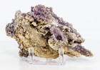 Foto 15 di 17