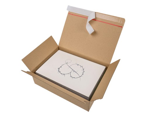 DHL Kleinpaket Automatikbodenkarton Automatikkarton PFS34 265x200x80 - Bild 2 von 3