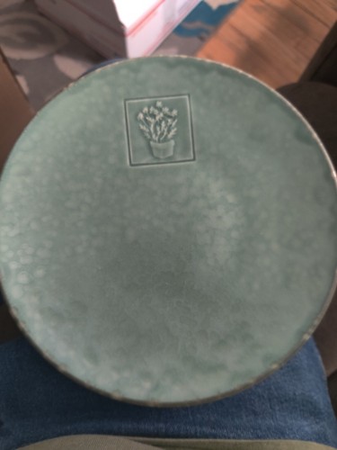 Portfolio Pfaltzgraff Naturewood Serenity Green Salad Plate Retired Dragonfly 