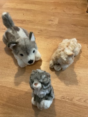 Kielspielzeug Storm Husky Hund Tabatha Katze und graues Kätzchen Plüschtiere Kuscheltiere
