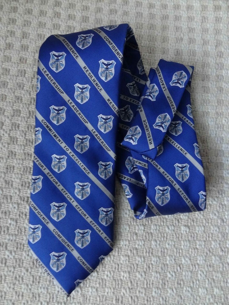 JS Enterprises Mens Blue and Silver Neck Tie New Stylish Formal Wear
