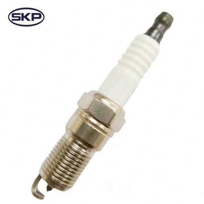 American Motorhome RV Workhorse 8.1 L V8 SOHC Set 8 Spark Plugs sp1020