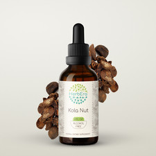 HerbEra Kola Nut Alcohol-FREE Tincture, Organic Kola nut Cola Acuminata 