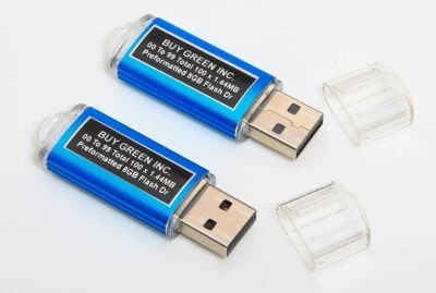 BGI 2X Preformatted USB Flash Dr For Floppy Disk Emulator 00 to 99 Total 100X 1.44MB