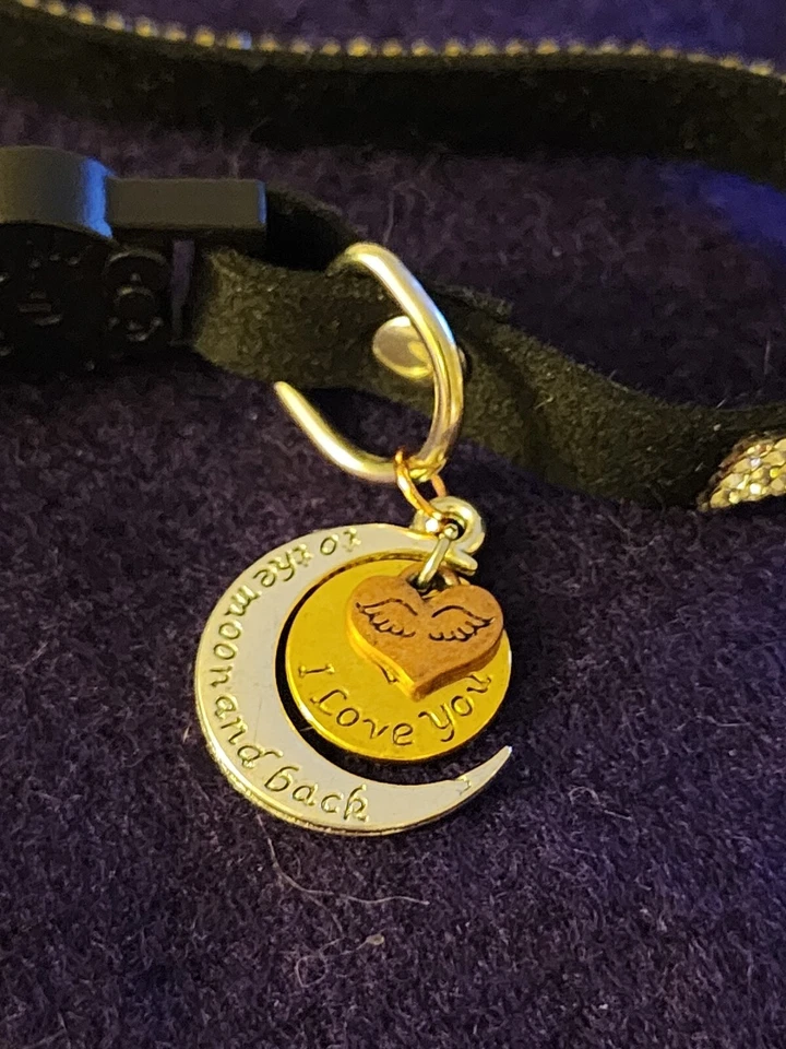 Collar brillante para joyas para gatos/gatitos, cuero, elige el color del cuello, nuevo, separable Foto 2 de 4