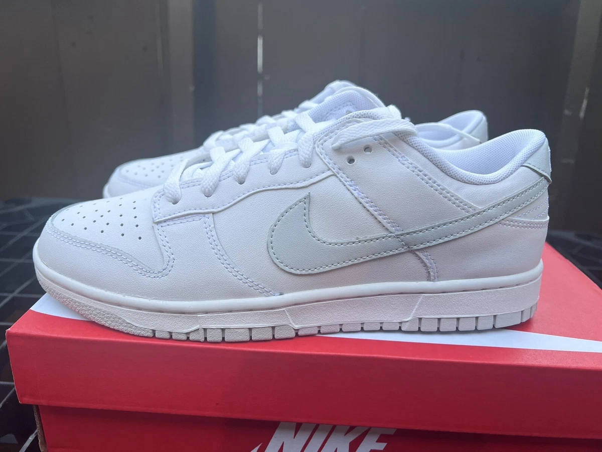 nike dunk low retro DV0831 101 white pure platinum mens 7.5 13 ships now limited