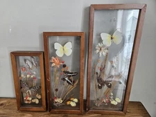 Set Of 3 VTG Butterflies & Dried Flowers Mounted In Shadow Box Frames