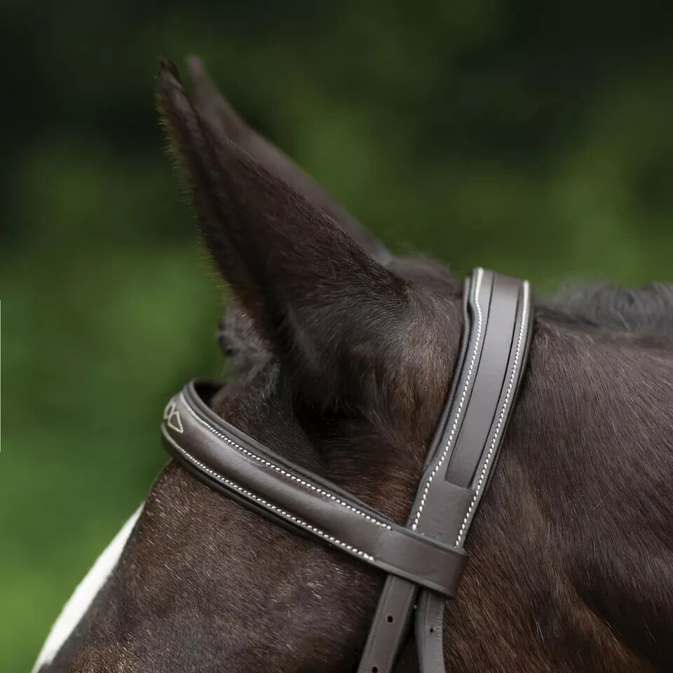 Premium Leather English Horse Bridle with Tack Set Available all Sizes