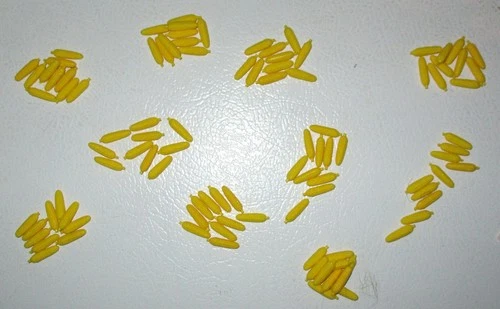 Marx 1960s Modern Farm Corn Cobs 100 Count Lot One