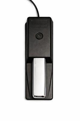 Roland DP-10 Piano-Style Sustain Pedal w/ Full and Half-Damper Compatable