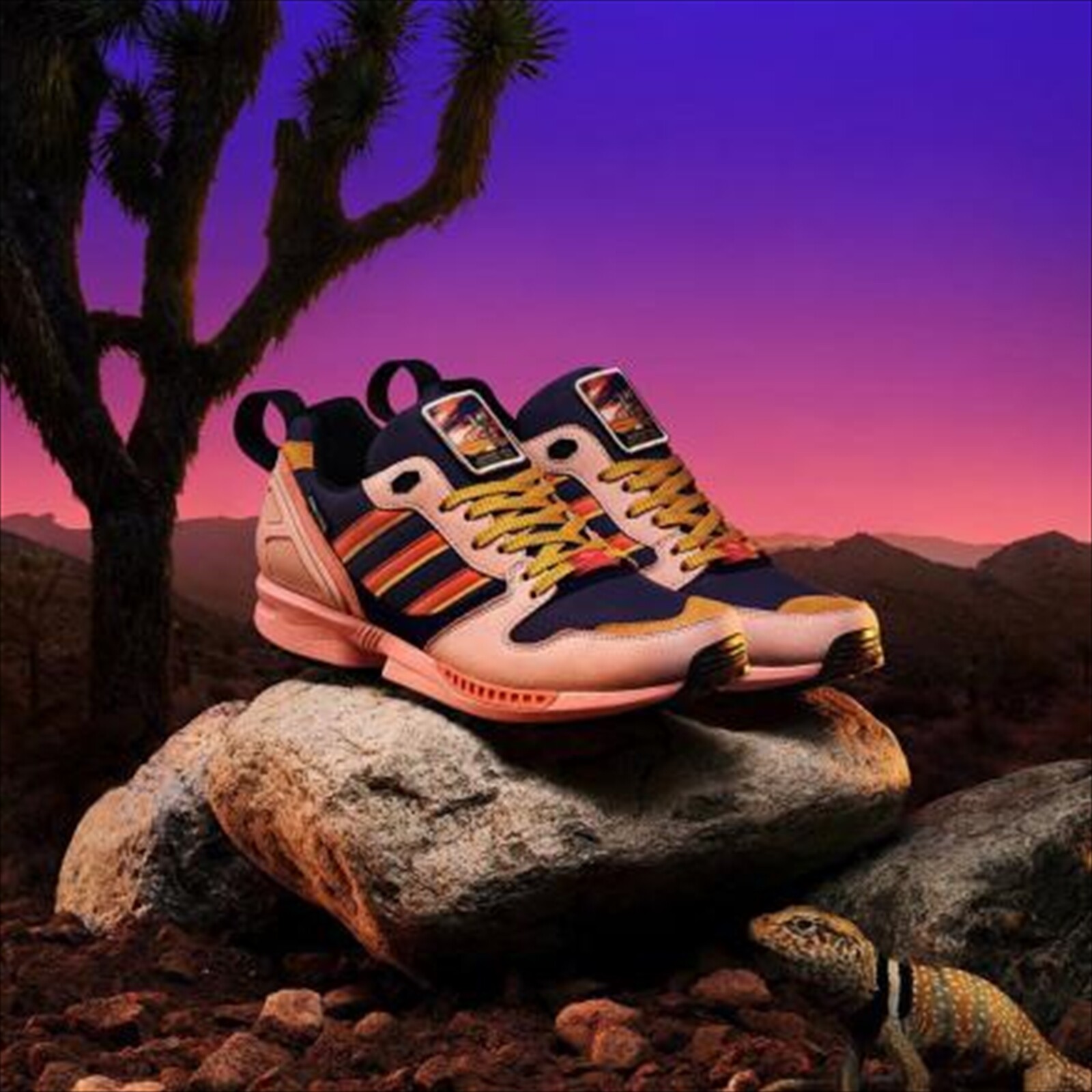zx 5000 joshua tree
