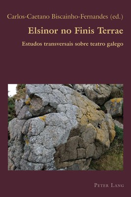 Carlos-Caetano Biscainho-Fernandes | Elsinor no Finis Terrae | Taschenbuch