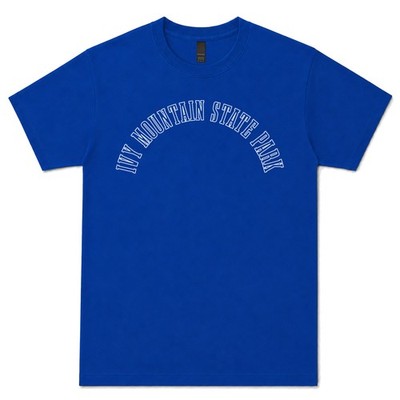 IVY MOUNTAIN STATE PARK T-SHIRT RETRO VARSITY STYLE USA Northwest Hills