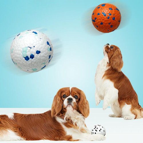 Rebounding Dog Ball Outdoor Toy Durable Toys for Chewers High Elasticity Pet