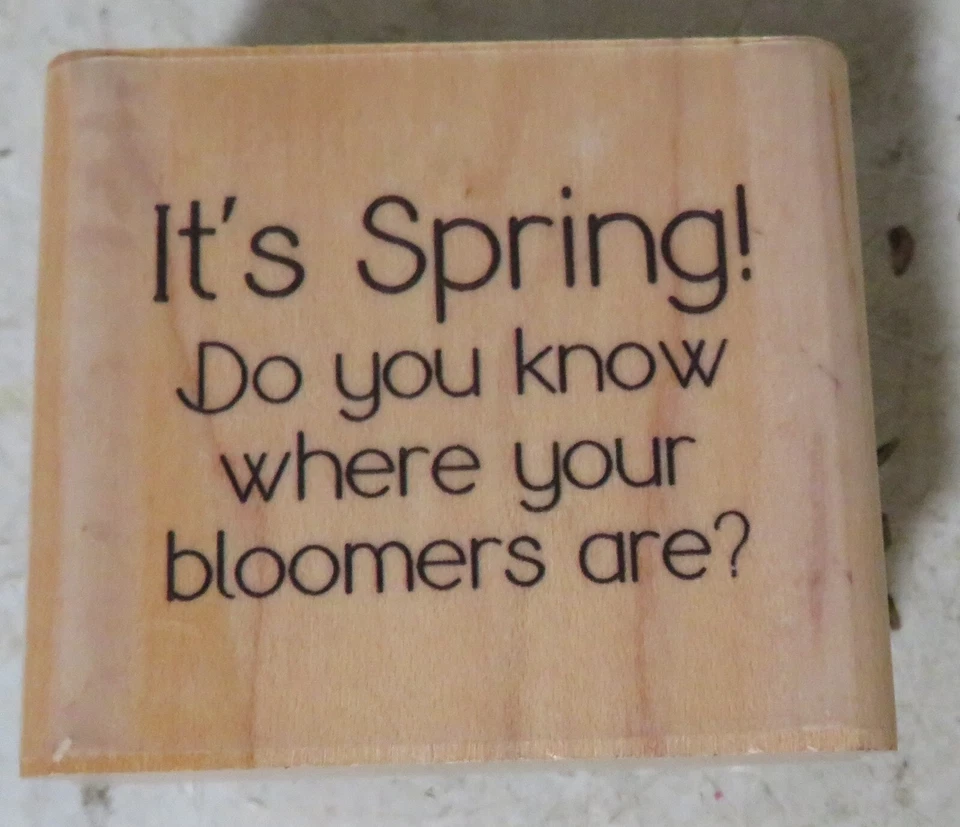 Es primavera, ¿sabes dónde están tus flores? Sello de goma Whippersnapper Foto 2 de 4