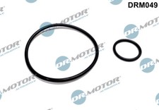 Dr. Motor Automotive DRM049 Dichtung Set, Vakuum Pumpe für Citroën, Fiat, Ford,
