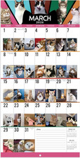 2026 Calendar - Funny Cat Calendar 2026, 12" X 24" Open , Jan.2026 - Dec.2026,