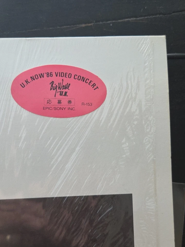 Paul Young Between Two Fires Japan OBI Vinyl Epic Sony 28·3P-764 Shrink Hype LP Foto 4 de 4