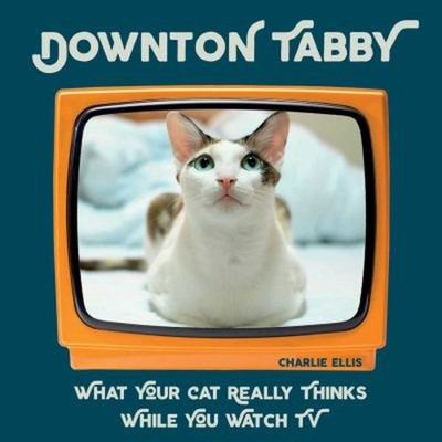 Downton Tabby : What Your Cat Really Thinks While You Watch TV Ch