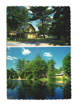 Forest Lake Motel and Cabins Lake Luzerne NY VTG postcard UNP