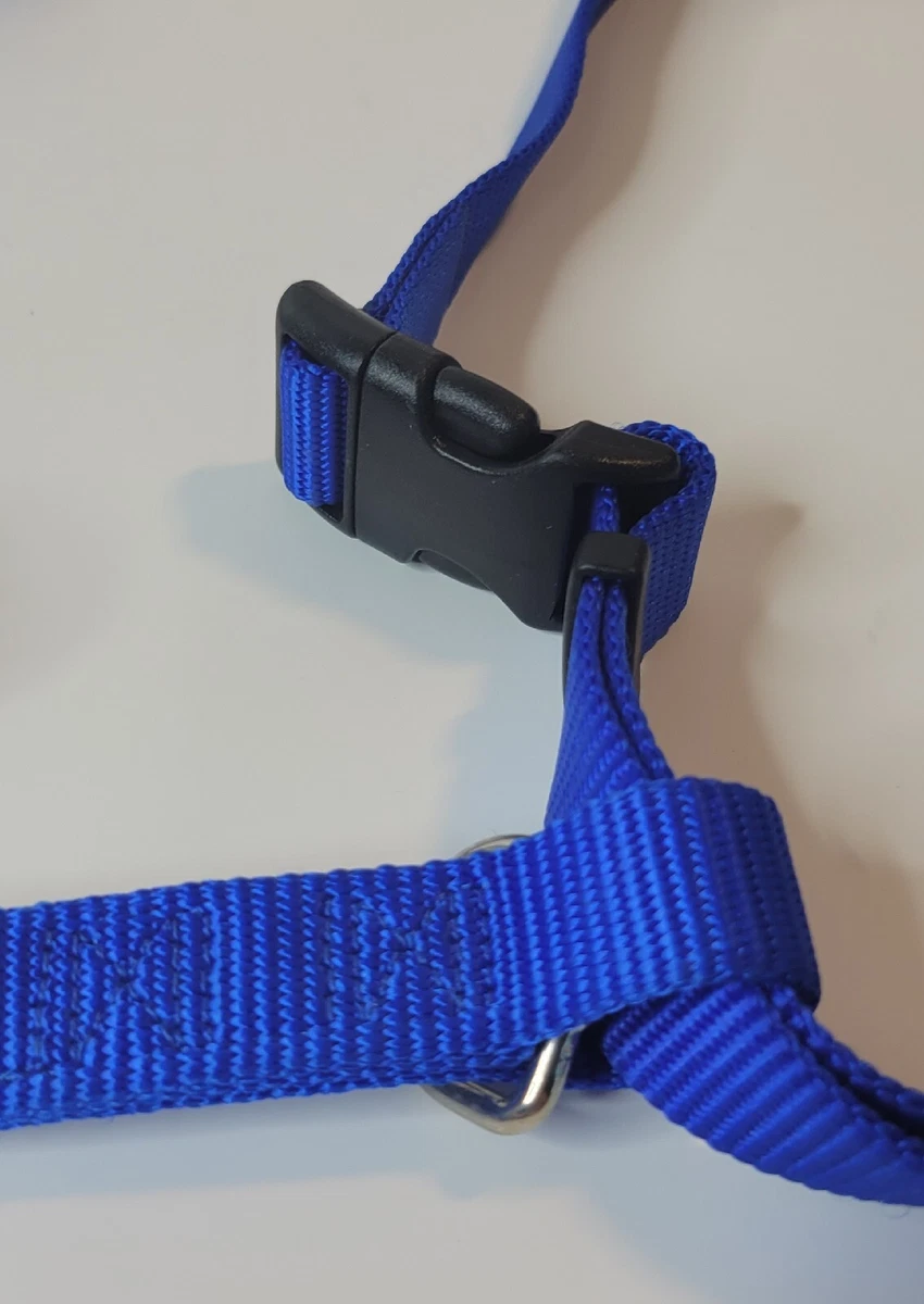Male dog harness cheap