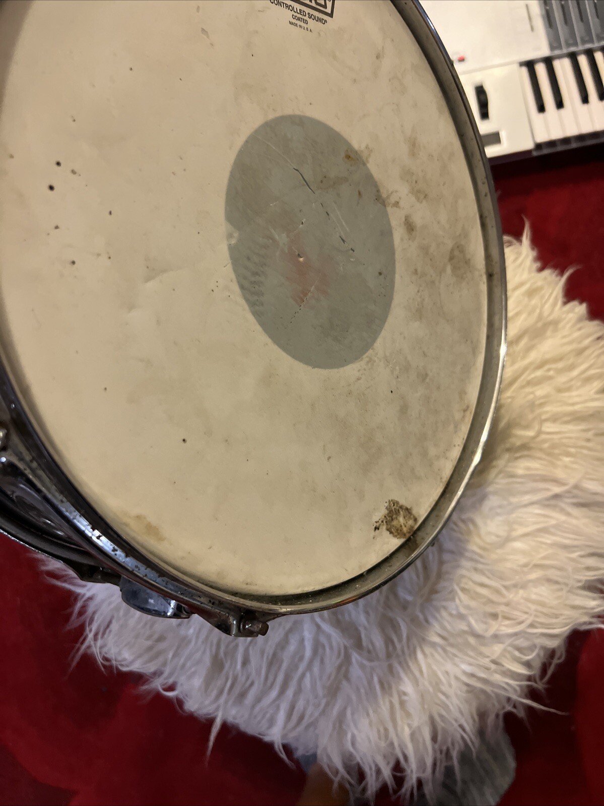Picture 19 of 19