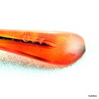 Foto 10 di 12
