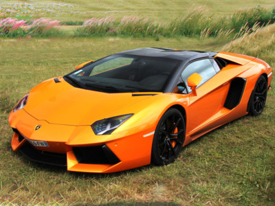 Field with Orange Lamborghini Aventador LP700-4 Supercar Photo