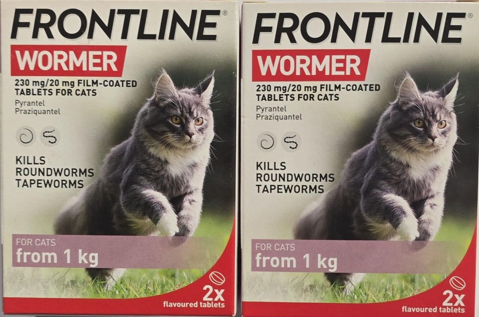 Frontline Wormer Tablets for Cats - Broad Spectrum Dewormer - Treats Roundworms & Tapeworms - 2 Pack - Image 5