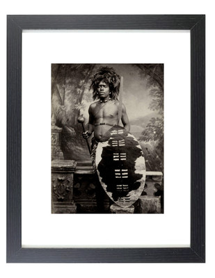 1880s ZULU WARRIOR African Tribes Man with Shield Matted & Framed Picture Photo