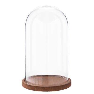 28 cm Glasaufsteller Glocke Glas rund Cloche auf hellem Holzsockel Aufsteller 