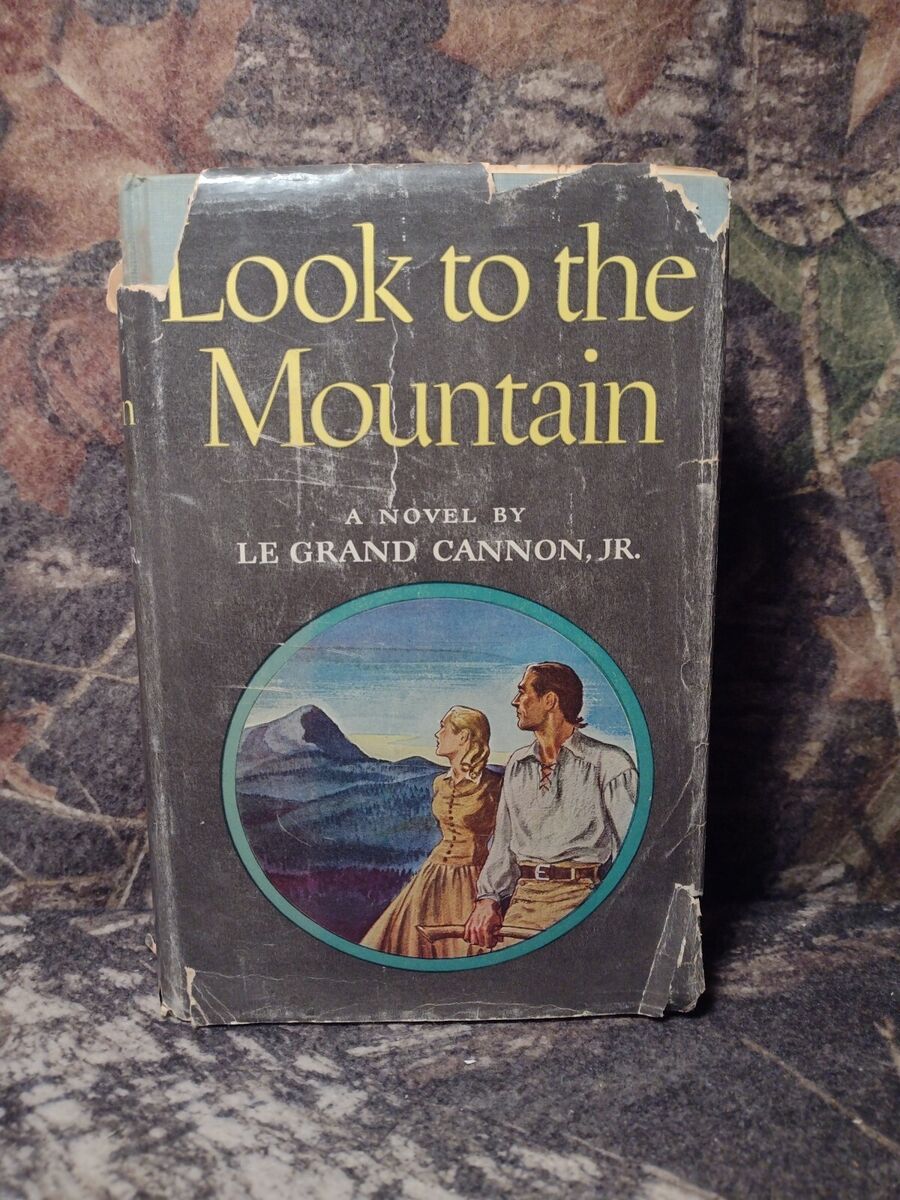 Mountain/マウンテン/Go For Your Life/ 2001年 Mountain – Go