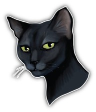 Cat Face Car Bumper Sticker Decal