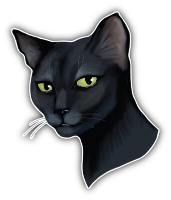 Cat Face Car Bumper Sticker Decal