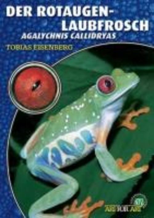Thumbnail - Der Rotaugenlaubfrosch, Tobias Eisenberg