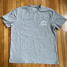 Chubbies Tshirt Mens Size Large Skys Out Thighs Out Gray Summer Sun Surf