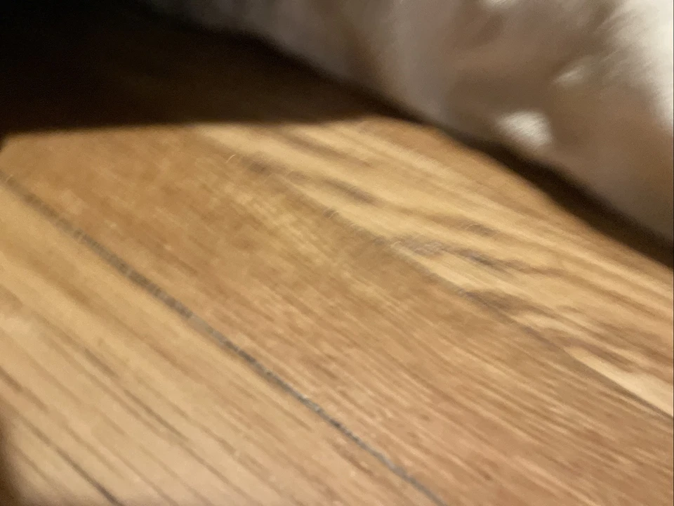 Anillo tono ABS Dorman 917-557 para 94-02 Subaru Forester Impreza Legacy Foto 2 de 4