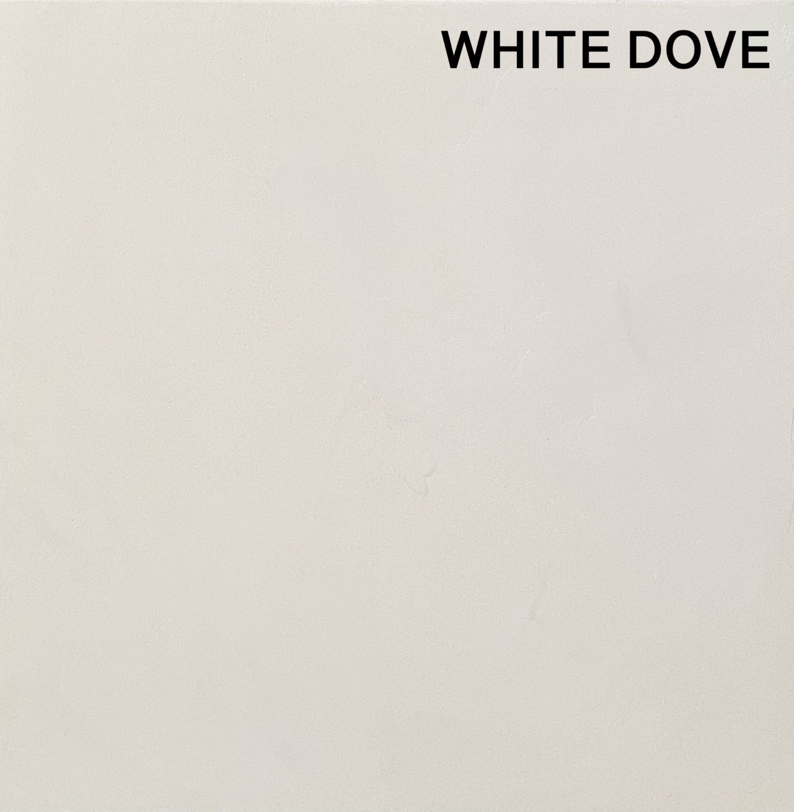 White Dove