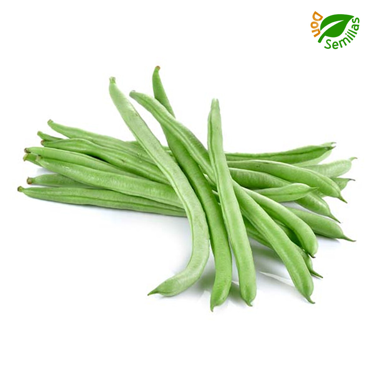 Judia Contender Selección (Mata Baja) ( 100 semillas ) Judía DON_LEGU